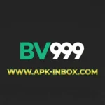BV999 Game